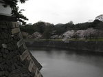 P4070642.JPG